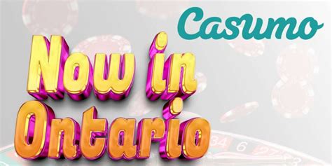  casumo casino location